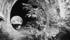 stalker